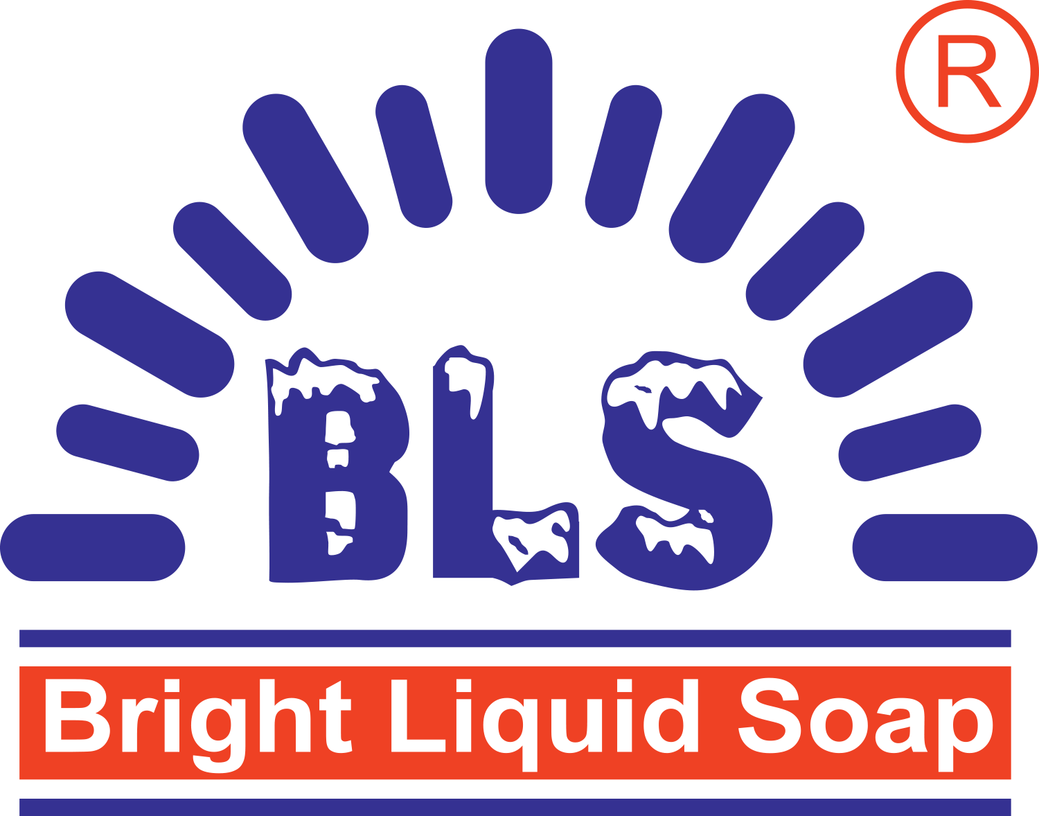 BLS Logo PNG